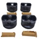 Pistones Toyota Hilux 2.7 4cil 2trfe STD/010/020/030
