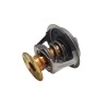 TERMOSTATO RESORTE FORD FUSIÓN 3.0 FORD ESCAPE 3.0 (RT 1175)