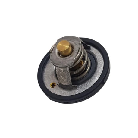 Termostato Ford Fiesta Titanium 1.6 2012-2015