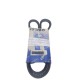 Correa Alternador 15380 Capri /blazer/ Century