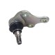 Muñon Inferior Delantera Toyota Previa 06-12