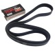 CORREA UNICA TUNDRA RORAIMA FORD F150 F350 98/03 FORTALEZA