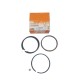 ANILLOS (STD) CHEVROLET ORLANDO 2.4