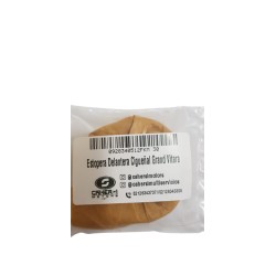 ESTOPERA DELANTERA CIGUEÑAL GRAN VITARA