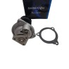 BOMBA DE AGUA FORD FIESTA 1.6 POWER MAX MOVEE COSPORT KA