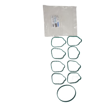 Empacadura Múltiple Admisión Ford Súper Duty 6.2 F250 F350