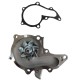 Bomba Agua Araya Avila Baby Camry Pantallita Sapito 1.6 Carb