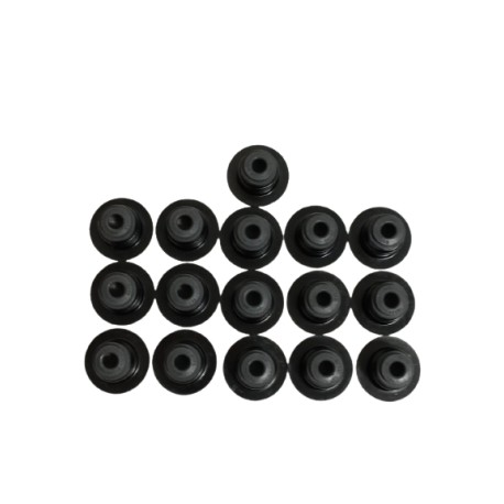 Gomas Valvulas F150 Fortaleza Explorer 4.6l Triton 5.4l 2v