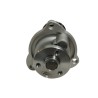 Bomba Agua Fiesta Power Max Move Ecosport KA Polea Metal 1.6
