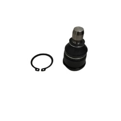 Muñon Inferior Ford Escape 2001-2012
