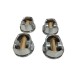 Kit de Pistones Ecosport 2.0 Ranger 2.3 Focus Mazda 3/6