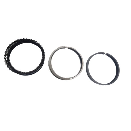 ANILLOS MOTOR 0.50 AUTANA/ BURBUJA/MACHITO 4.5