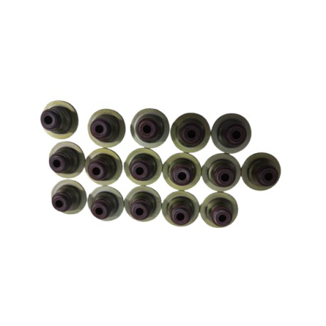 JUEGOS GOMAS DE VALVULAS AVEO 1.6 (16PZS)