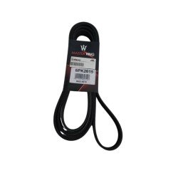 CORREA UNICA EXPLORER EDDIE BAUER 4.6L 06/11