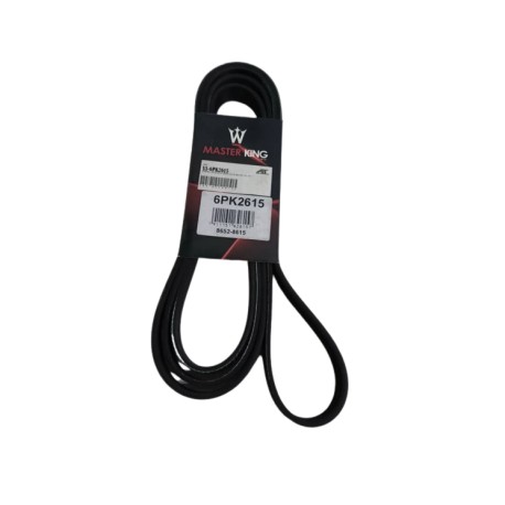 CORREA UNICA EXPLORER EDDIE BAUER 4.6L 06/11