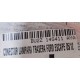 CONECTOR LAMPARA TRASERA FORD ESCAPE 05/12