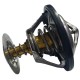 TERMOSTATO DE FORD FIESTA POWER MAX MOVE 1.6
