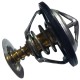 TERMOSTATO DE FORD FIESTA POWER MAX MOVE 1.6L