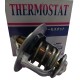 TERMOSTATO TOYOTA YARIS BELTA MERU HILUX HIACE 2trz JAPON