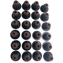 Gomas De Valvulas Ford Fx4 Explorer Eddie Bauer 4.6 5.4 3v