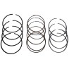 ANILLOS MAZDA 1.6 ALLEGRO/LASER 1.6 (0.25)