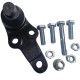 MUÑON INFERIOR FORD FOCUS 05-11