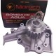 BOMBA DE AGUA DE SPARK DAEWOO MATIZ TICO DAMAS