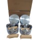 KIT DE PISTONES 020 GETZ ELANTRA 1.6