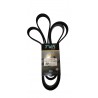 CORREA UNICA CALIBER 10/12 COMPASS 07/16 FORTALEZA EXPEDITIO
