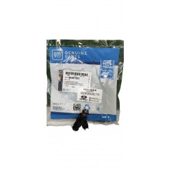 INYECTOR CORTO AVEO LT 11/15