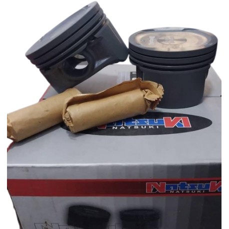 PISTON CHERY ORINOCO 1.8