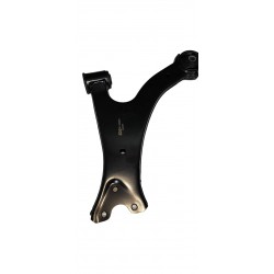 MESETA DELANTERA ORINOCO