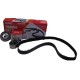 KIT DE TIEMPO TUCSON SPORTAGE CERATO 2.0 113 DIENTES C/GANCH