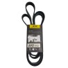 CORREA UNICA DE JEEP CHEROKEE V8 4.7 LIBERTY 3.7 00-UP
