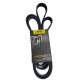CORREA UNICA DE JEEP CHEROKEE V8 4.7 LIBERTY 3.7 00-UP
