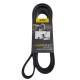 CORREA UNICA DE TOYOTA LAND CRUISER TUNDRA SEQUOIA V8