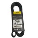 CORREA UNICA DE MAZDA 3 1600 UNICA