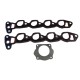 EMPACADURA MULTIPLE DE ADMISION FORD EXPLORER 4.6 2V