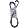 CORREA MULTICANAL LUV DMAX 05/10 6 2.3 04/09 TRAIL BLAZER