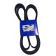 CORREA UNICA FIESTA BALITA DIRECCION MECANICA/KA/ECOSPORT 1.