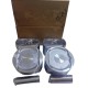 KIT DE PISTONES CHERY ORINOCO (0.20)