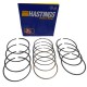 ANILLOS MOTOR 030 MAZDA 323/FESTIVA 1.3/TURPIAL B3
