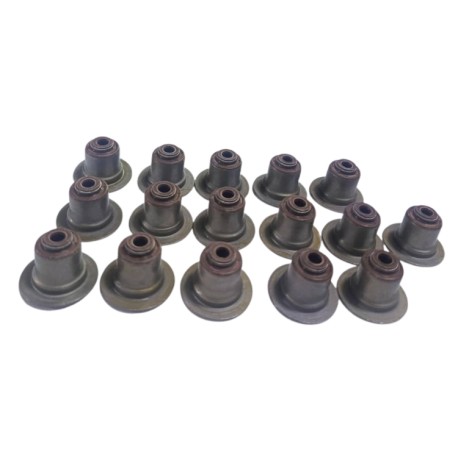 GOMAS VALVULAS FORD FIESTA BALITA MOTOR 1.25 16 PIEZAS