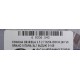 CONCHA BIELA 2.5 2.7 H25A DOCH 24V V6 VITARA XL7 SUZUKI