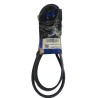 CORREA UNICA FORD FOCUS 2.0 MAZDA 3