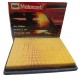 FILTRO AIRE FORD F150 FX4