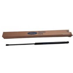 GATO COMPUERTA TRASERA FORD FIESTA