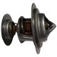 TERMOSTATO FORD F150 FORTALEZA MOTOR 4.2