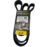 CORREA UNICA AVEO 1.6 NUBIRA 1.5 OPTRA DESING TERIO BEGO