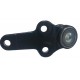 Muñon Inferior Ford Focus 2.0 Duratec 2005-2008
